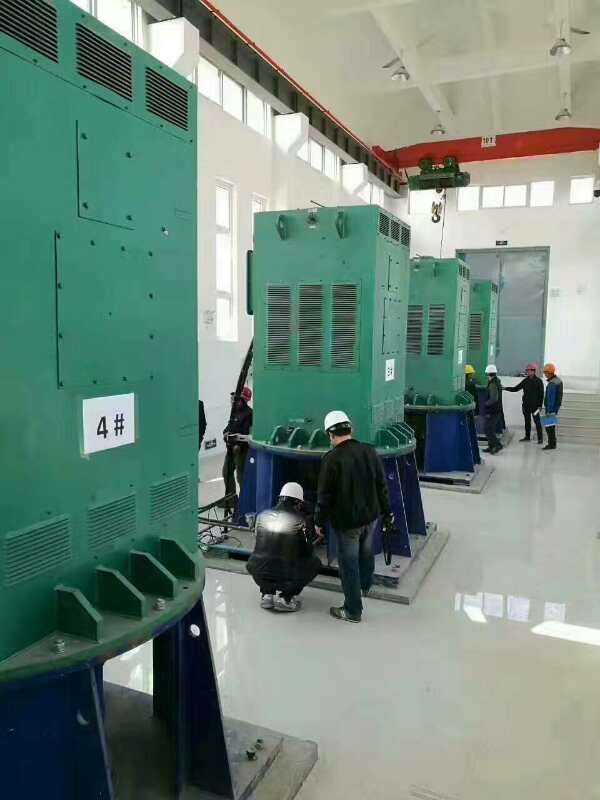 JR114-4某污水处理厂使用我厂的立式高压电机安装现场